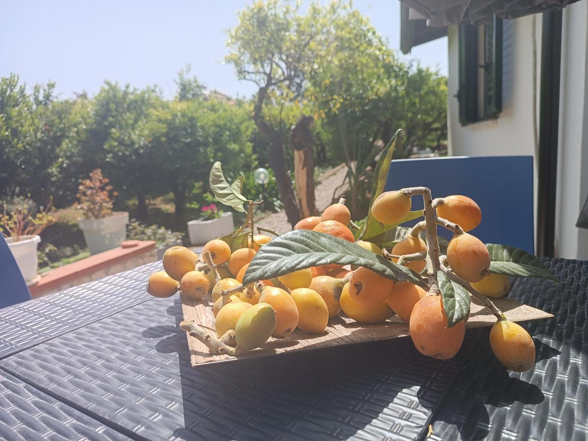 Duplex House Casa vacanze Palermo
