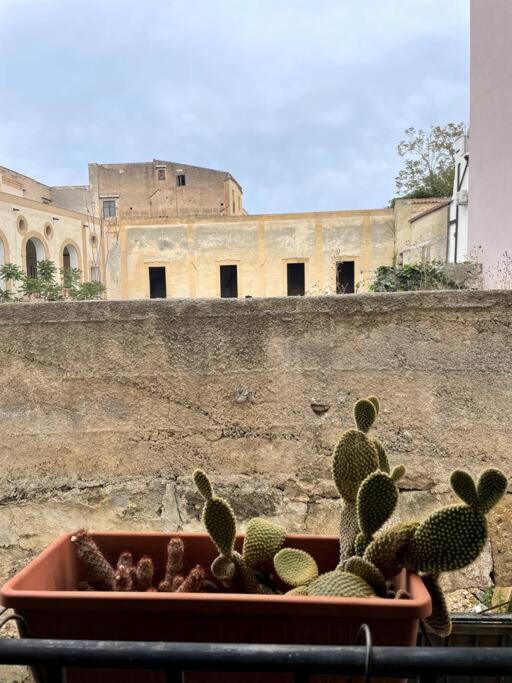 Apartamento Cozy 2br In The Heart Of Palermo