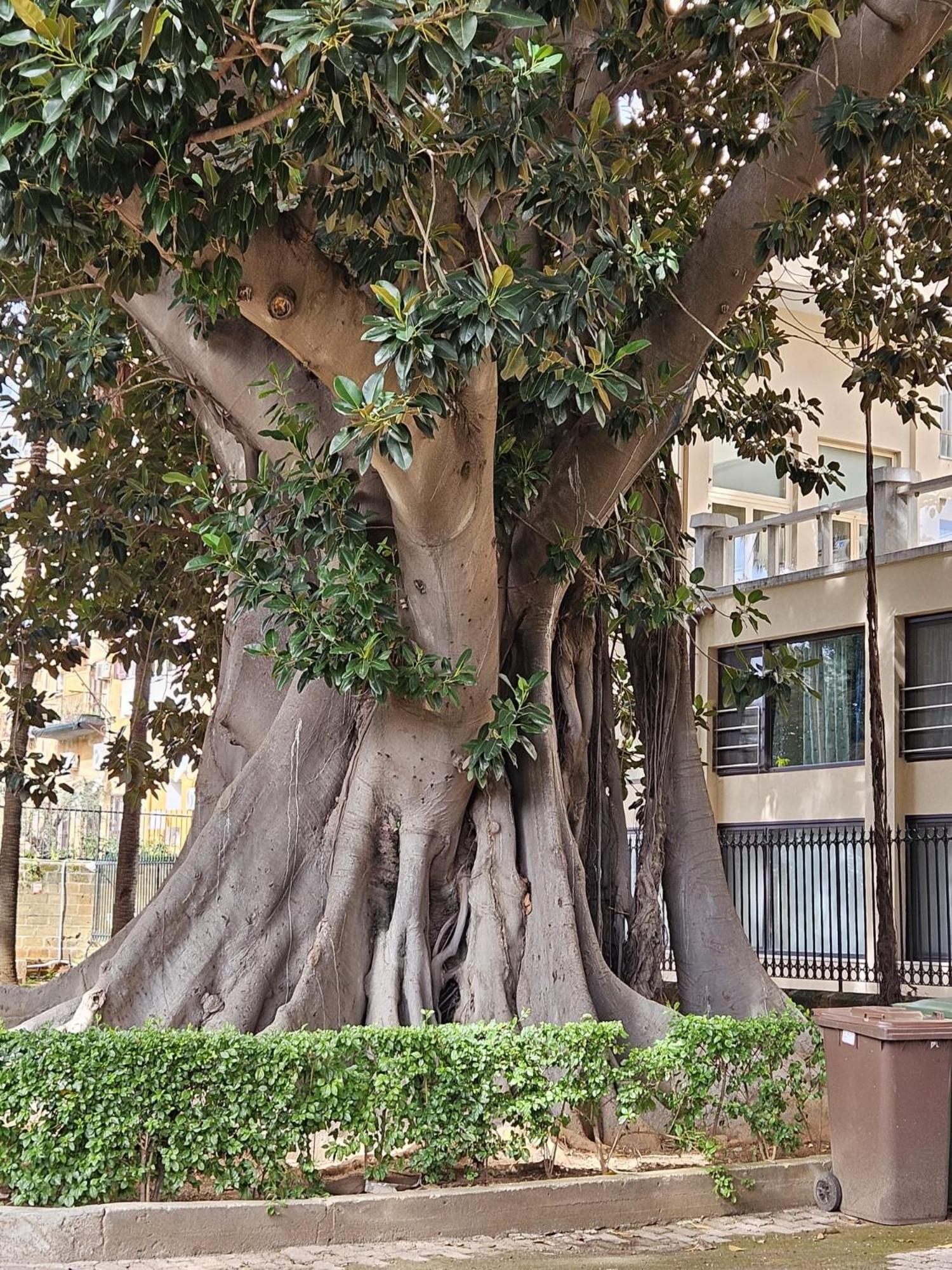 All'ombra Di Porta Nuova Apartment Palermo