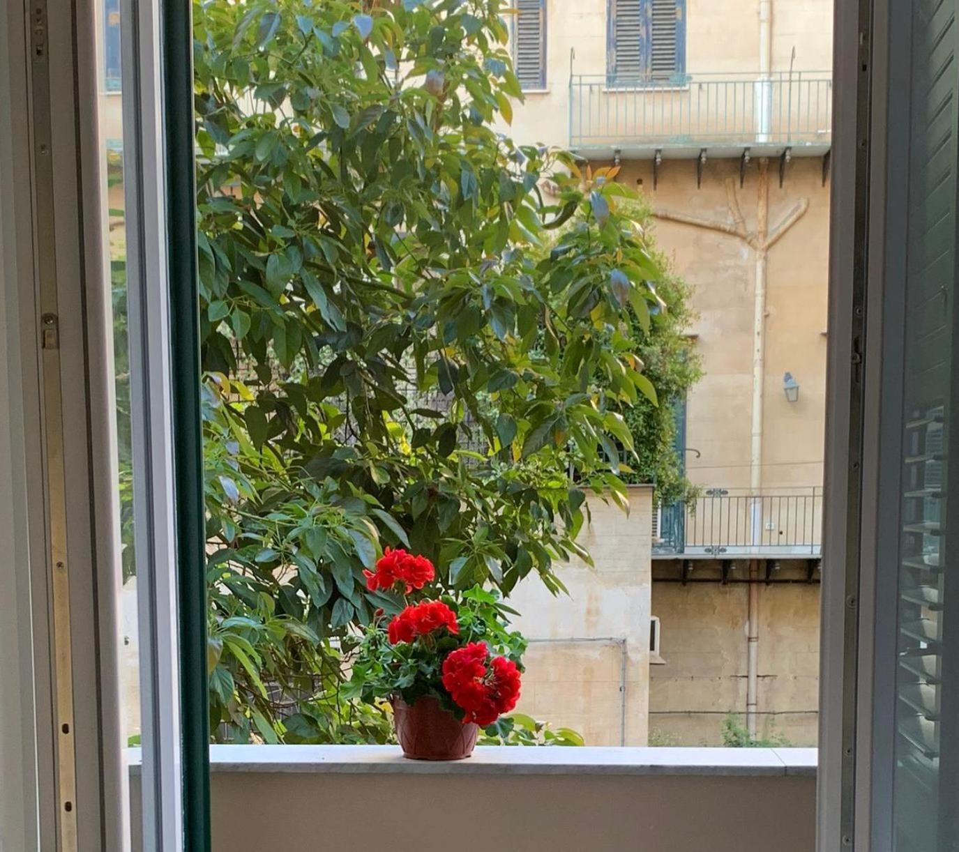 Ermosa * Palermo