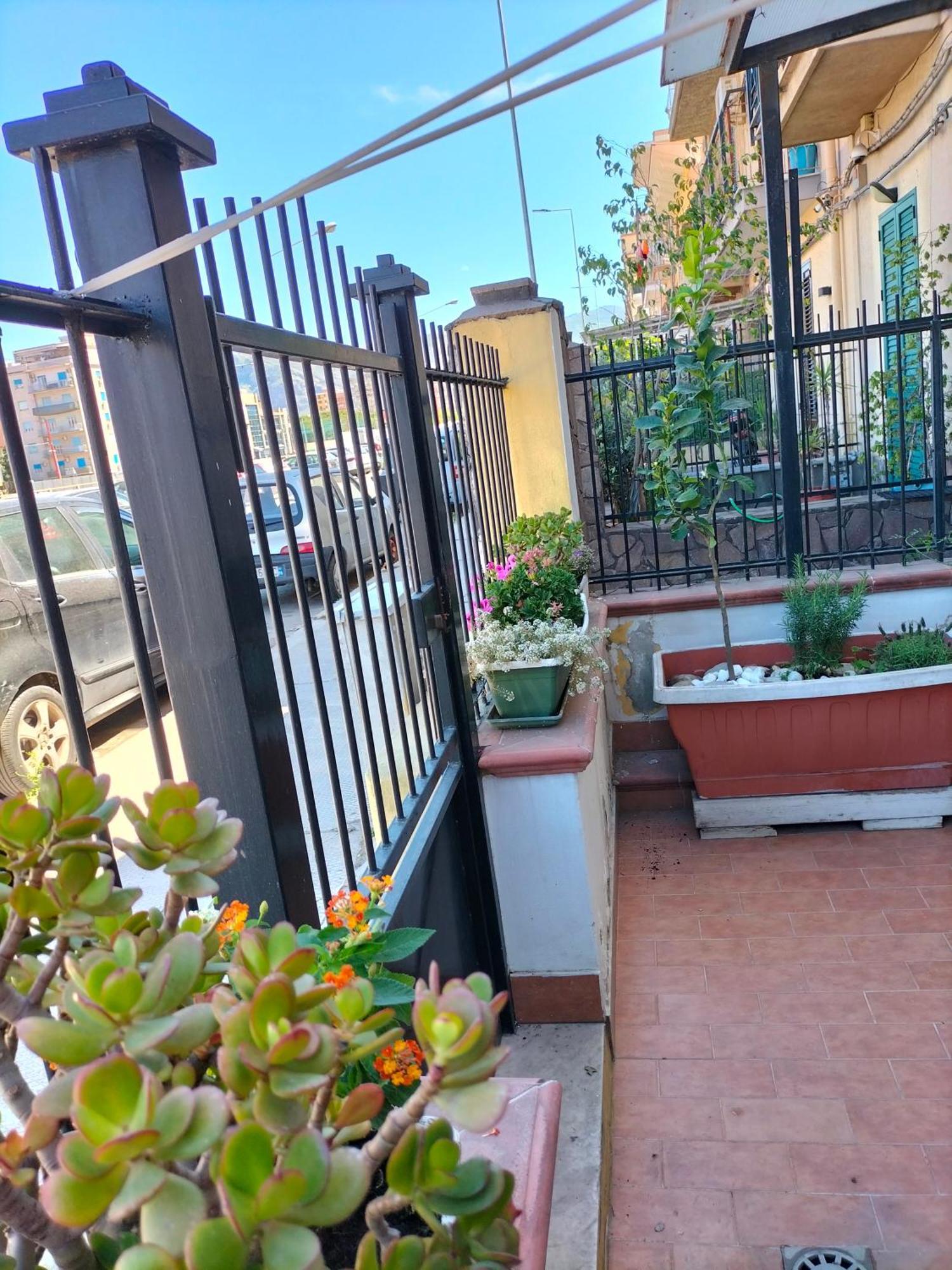 Ciuridda Mia * Palermo