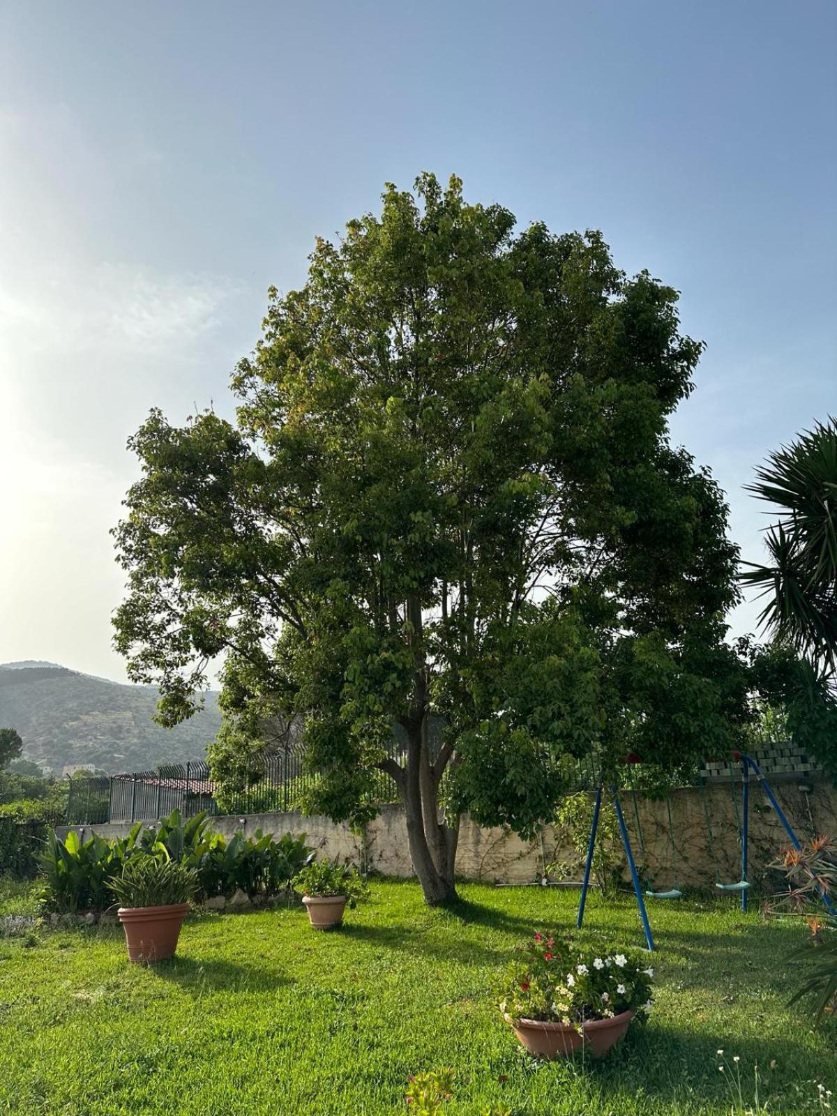 Bed & Breakfast Inserra Deluxe