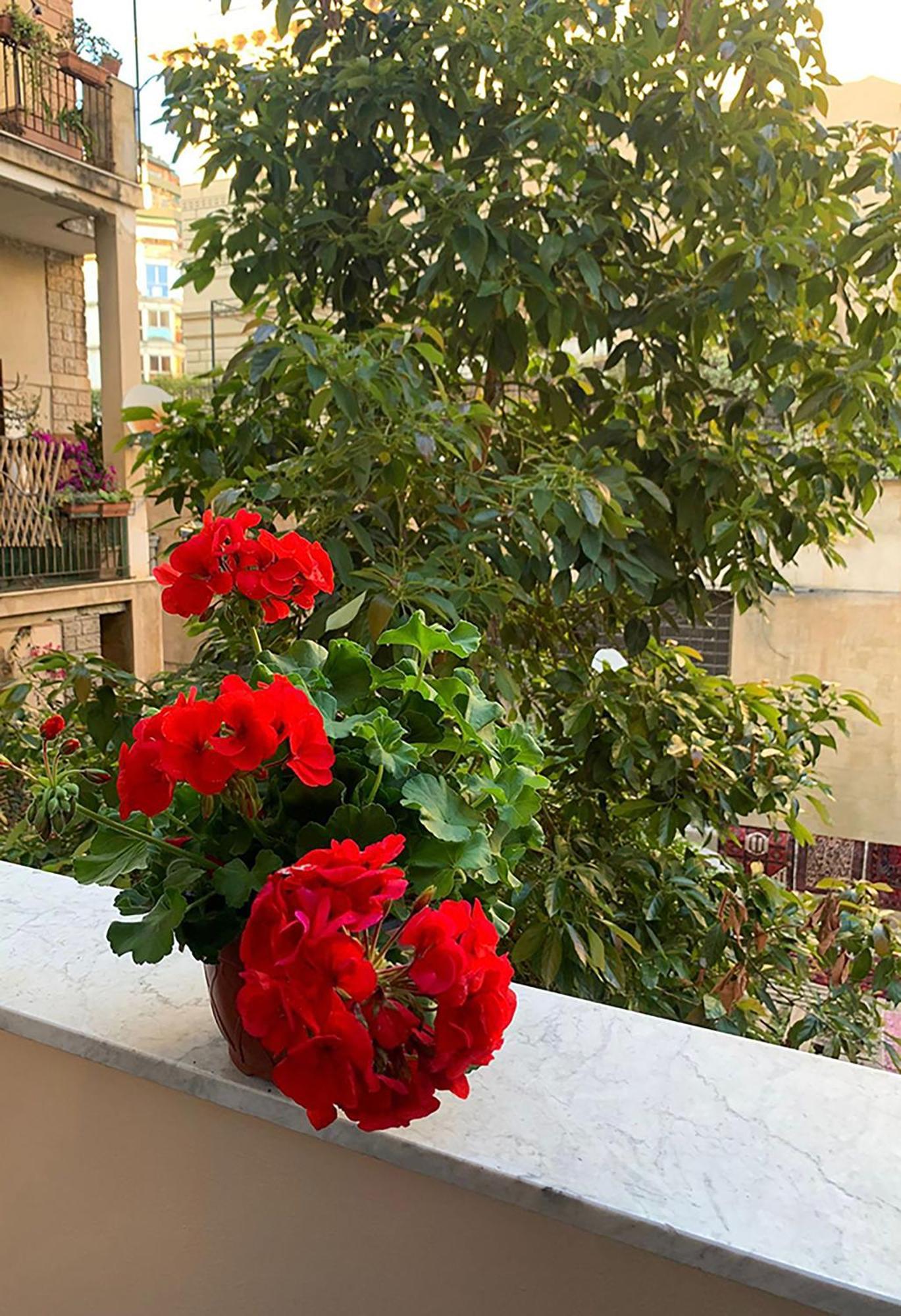 Ermosa Guest house Palermo