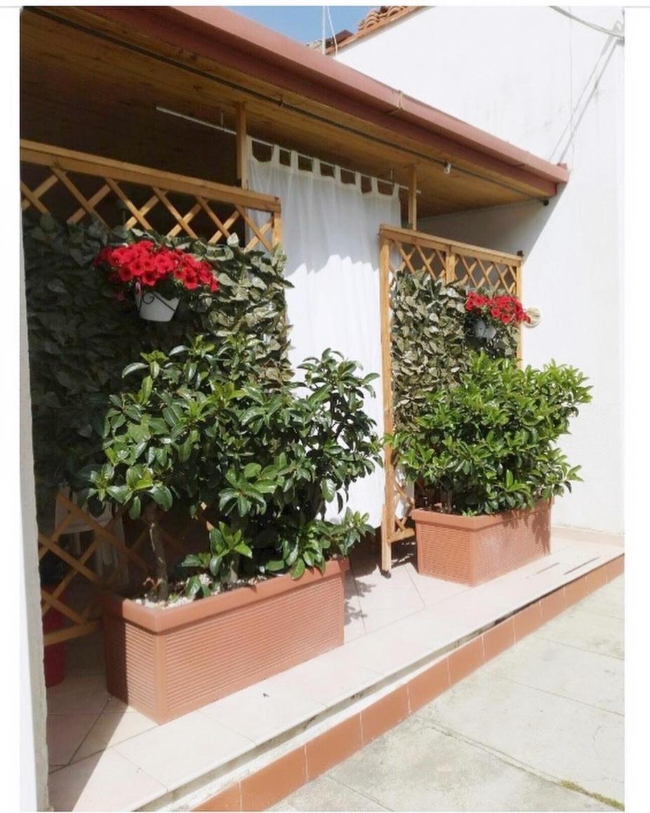 Casa Angelina *