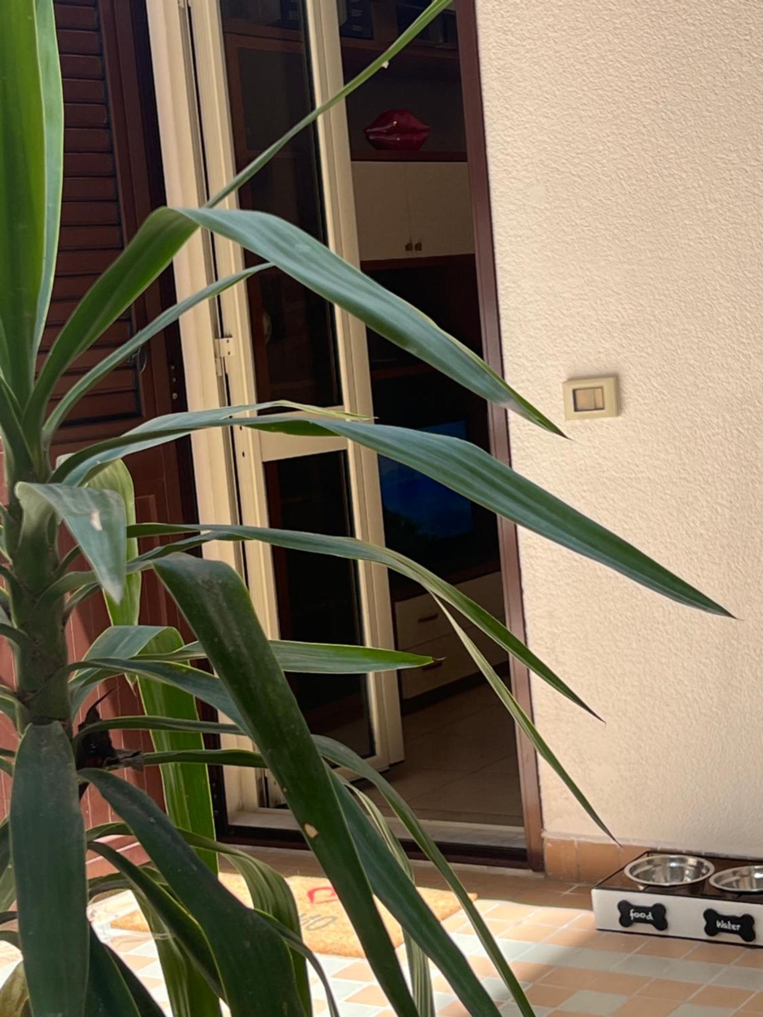 A Casa Tua Apartment