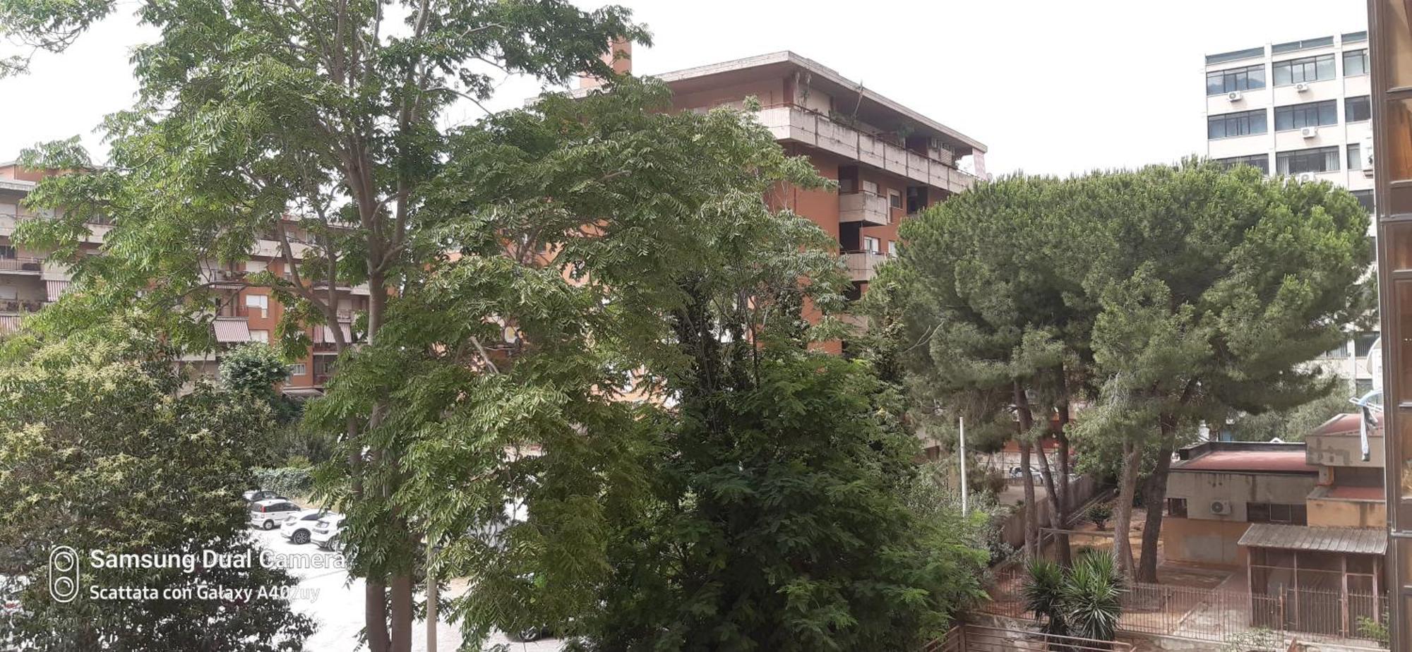 Frael Apartment Palermo