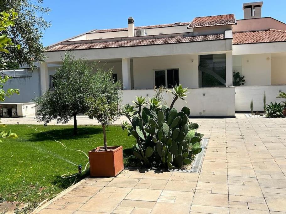 Lucia Villa Palermo