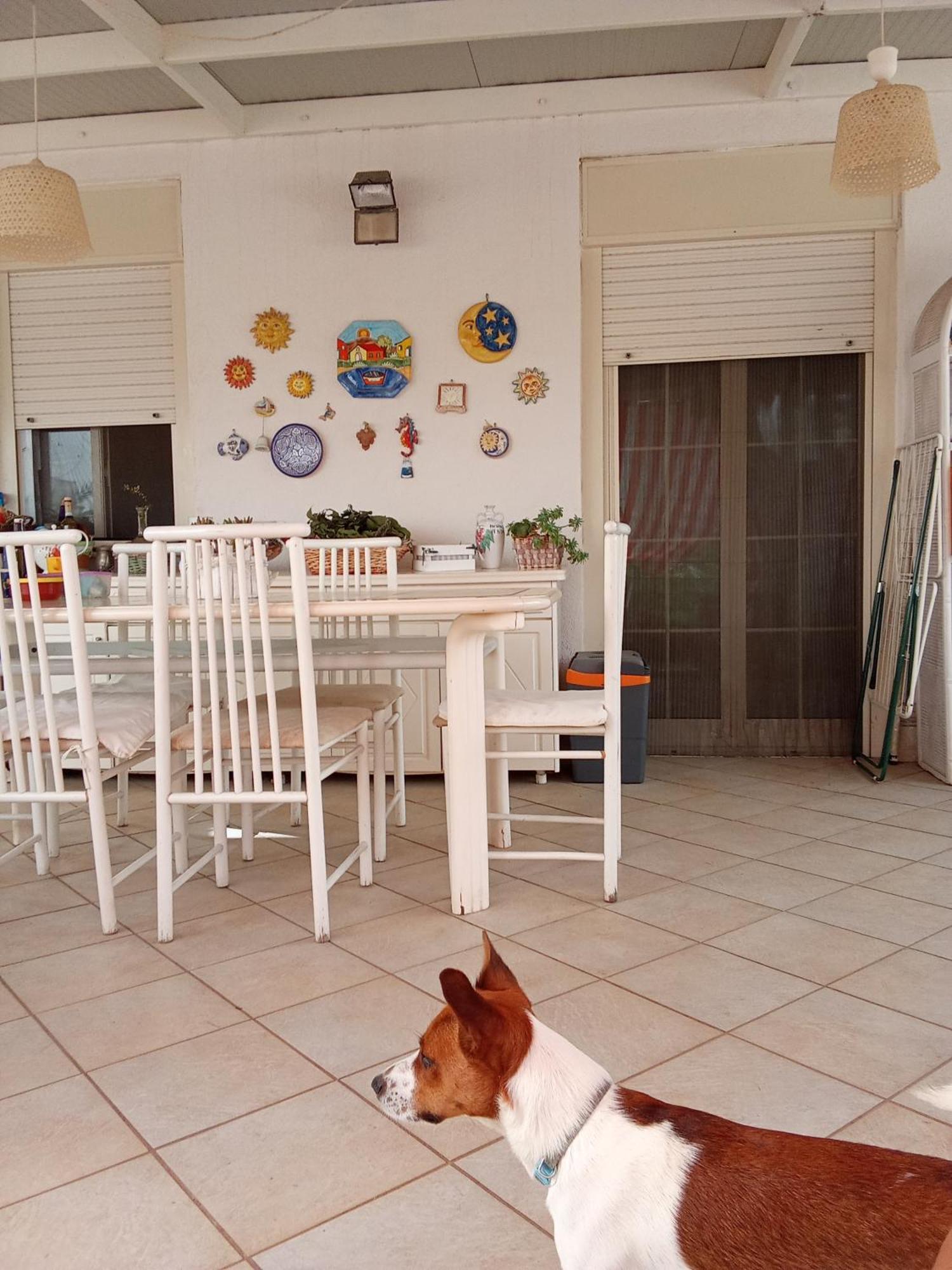 Alloggio in famiglia Terrazza Mare Mondello *