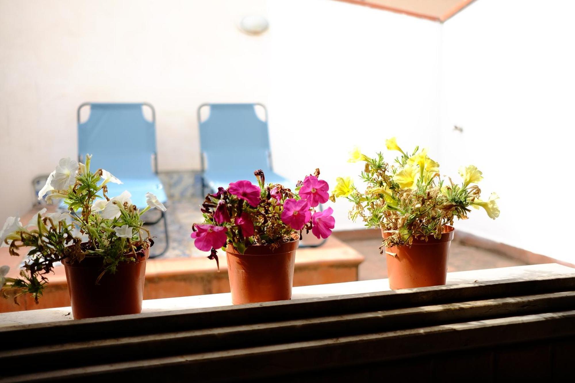 Maison Al Massimo - Center Full Apartment Palermo