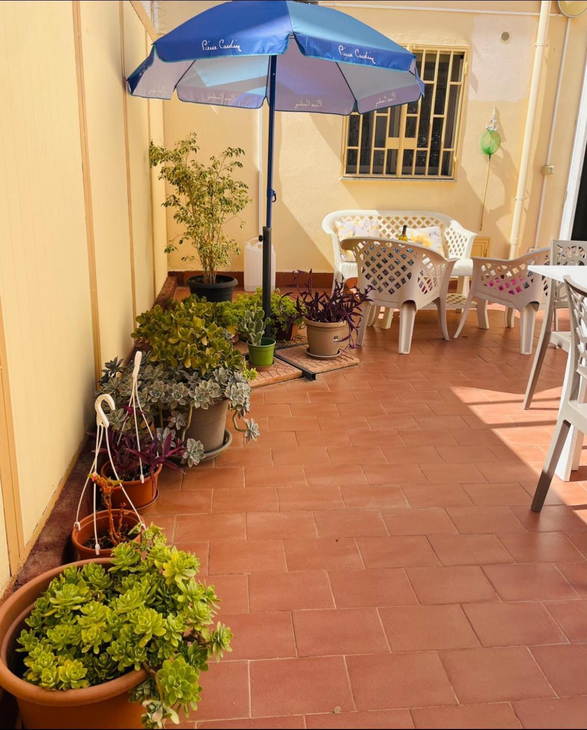 Olivuzza With Terrace *