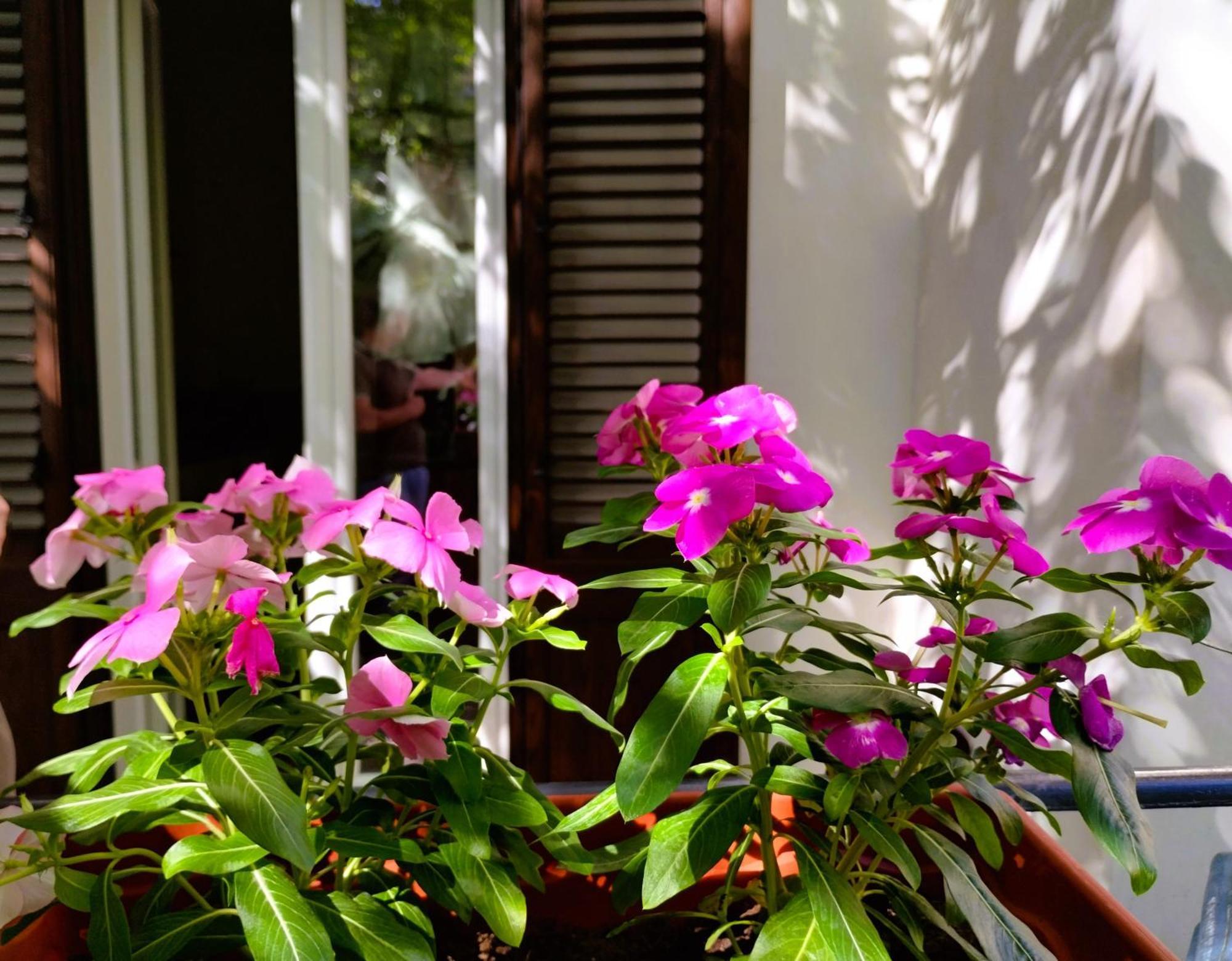 Apartment Domus Vetriera Palermo