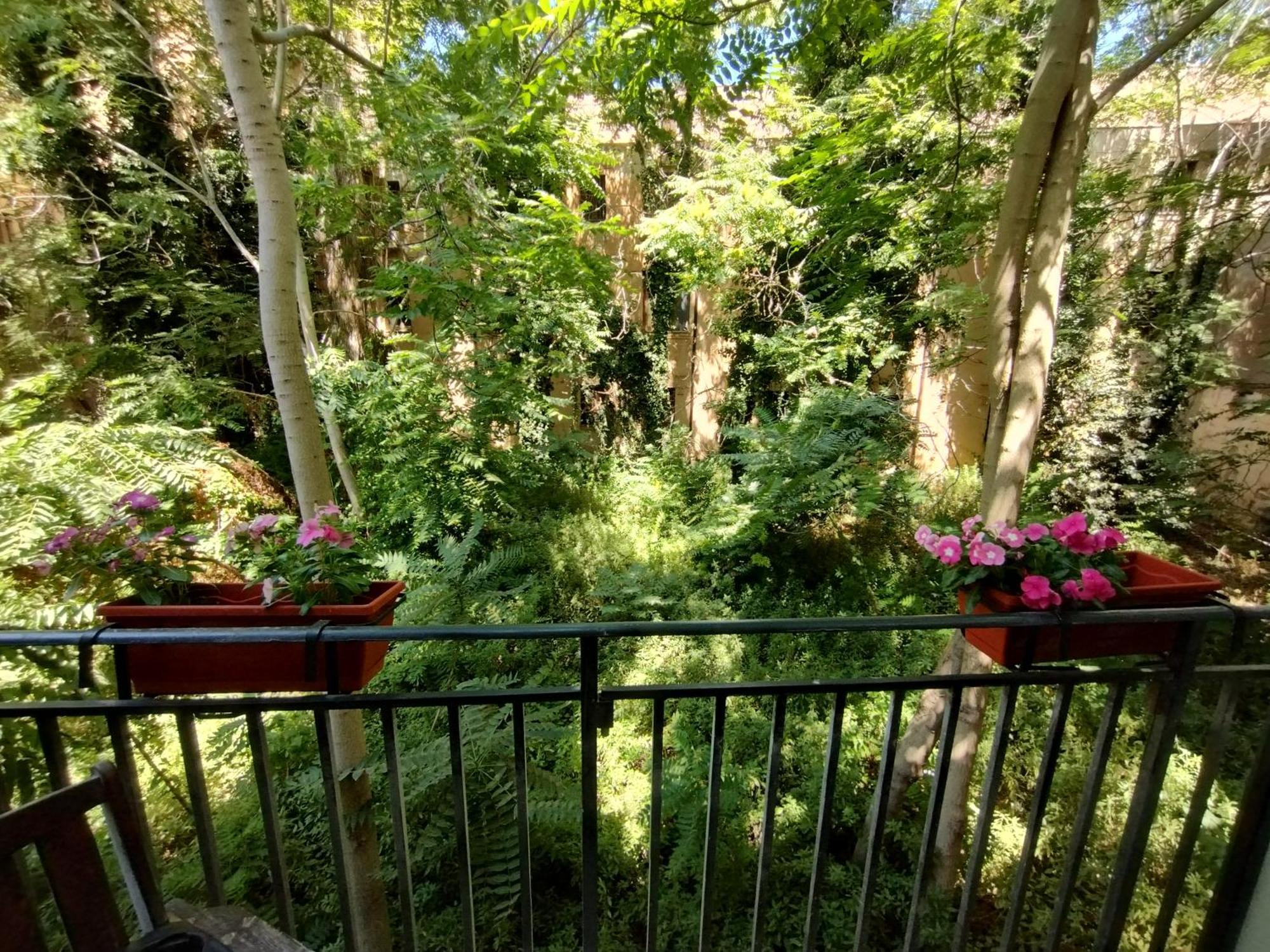 Apartment Domus Vetriera *