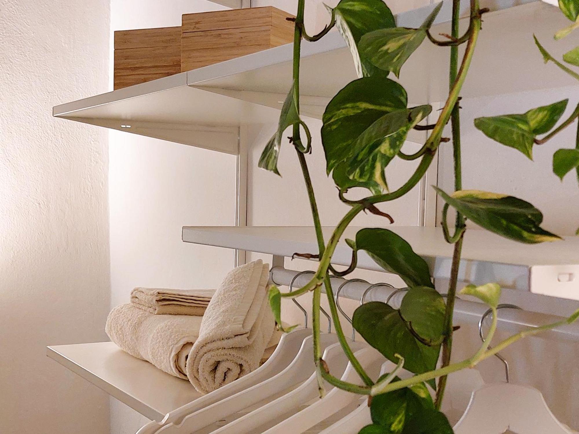 Casa Felce Apartment Palermo