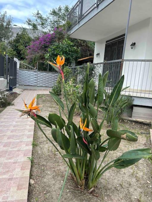 Mia Mondello, 200m To Beach, Private Parking Pousada *