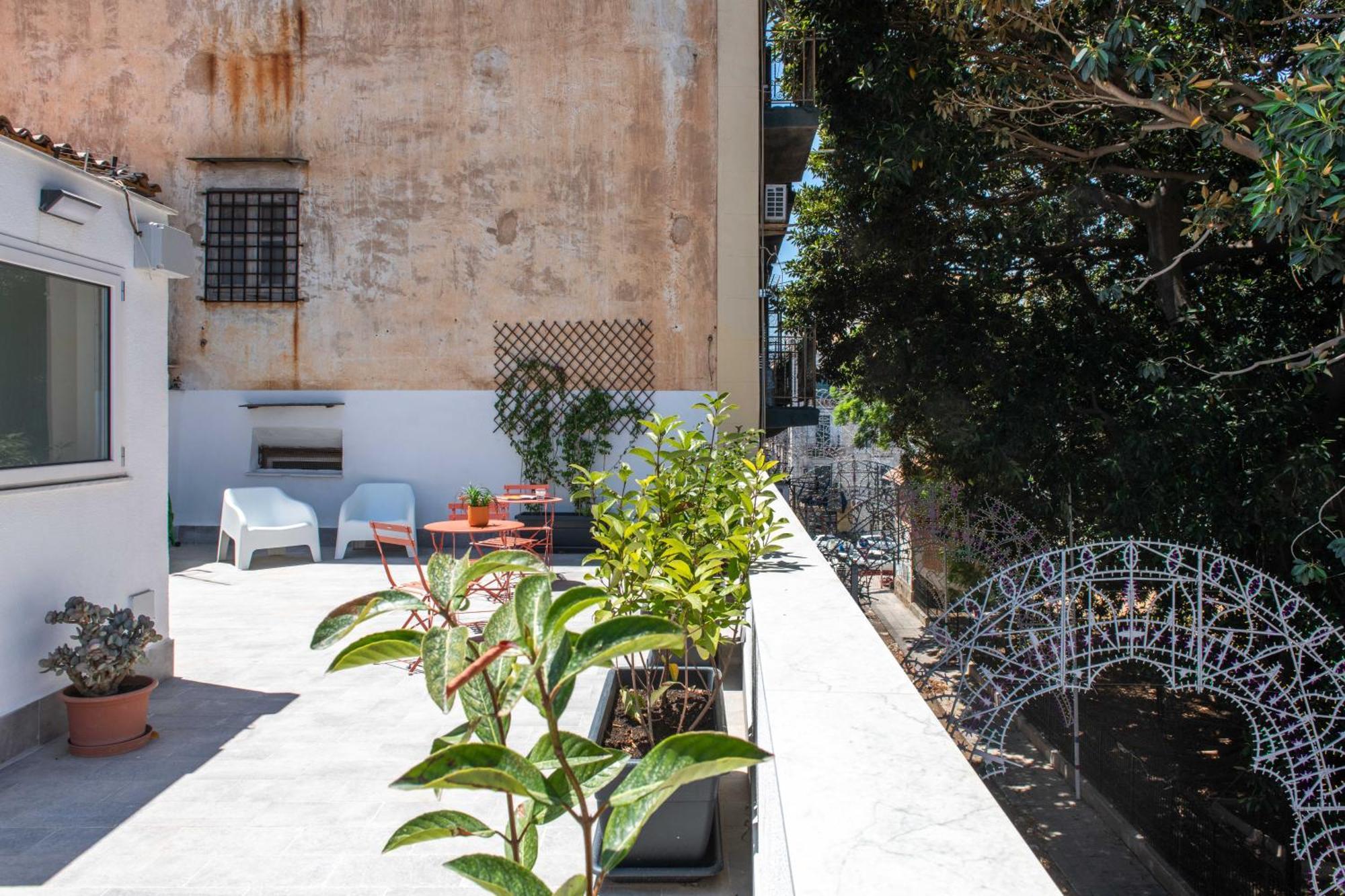 Guest house Canceddi & Terrace Palermo