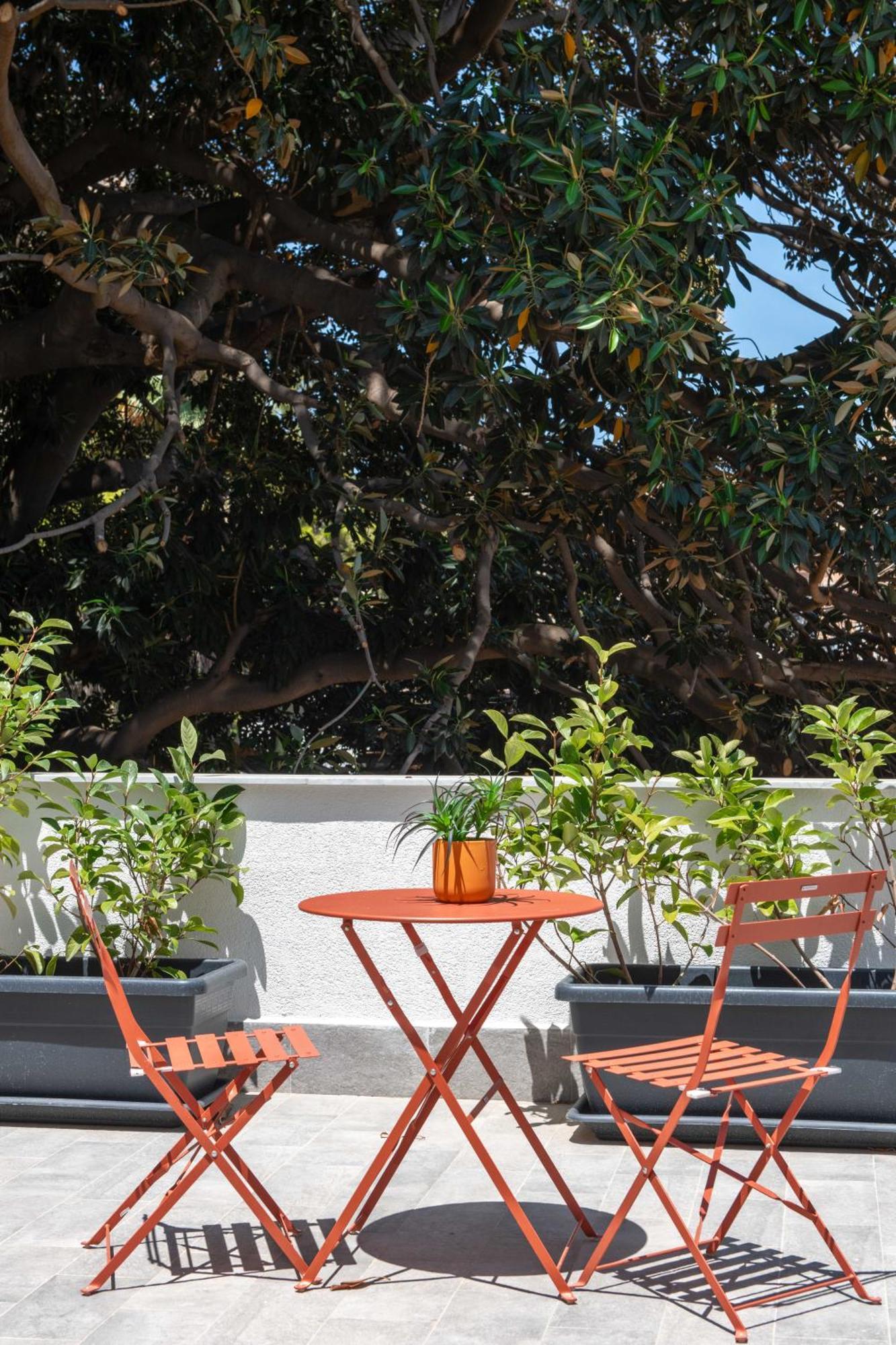 Guest house Canceddi & Terrace Palermo