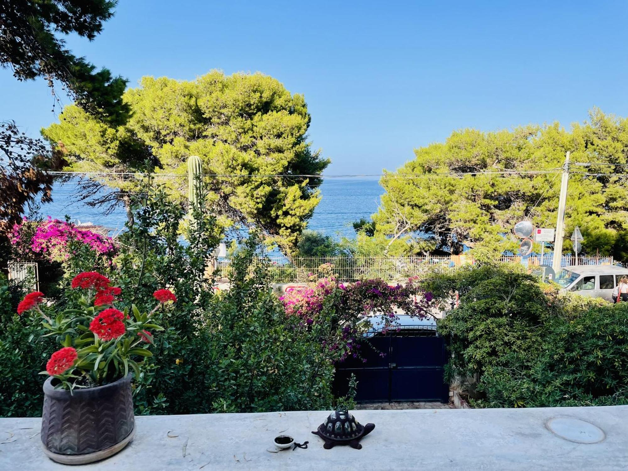La Pinetina 1 - Terrazza Sul Mare