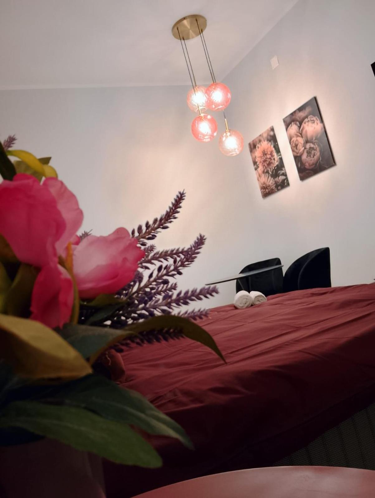 Le Di Caterina Apartment Palermo
