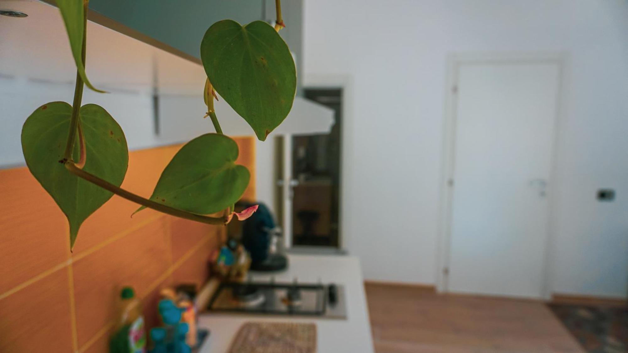 Apartamento Ospiti A Casa Mia *