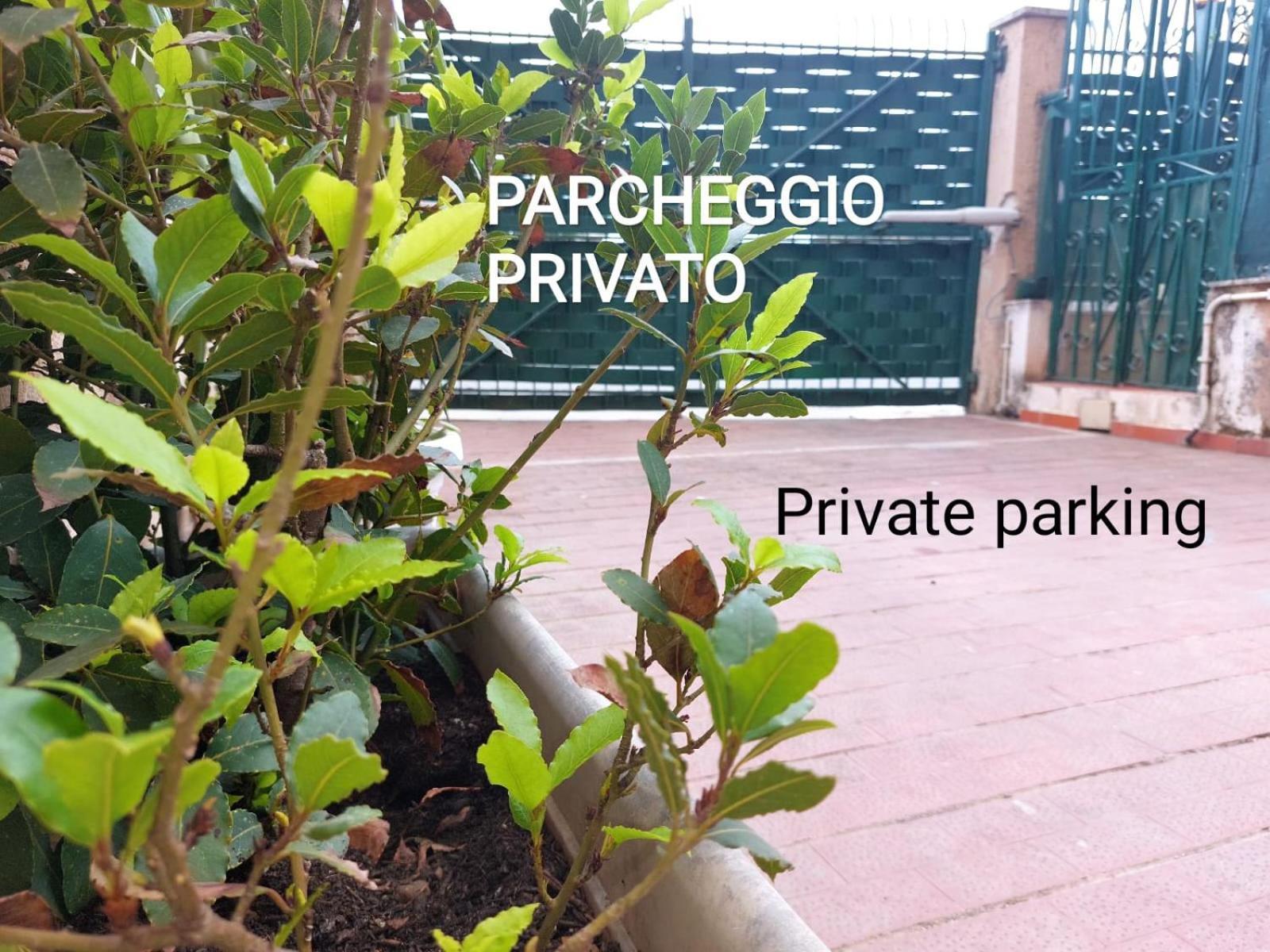 Art And Garden Appartamento Palermo