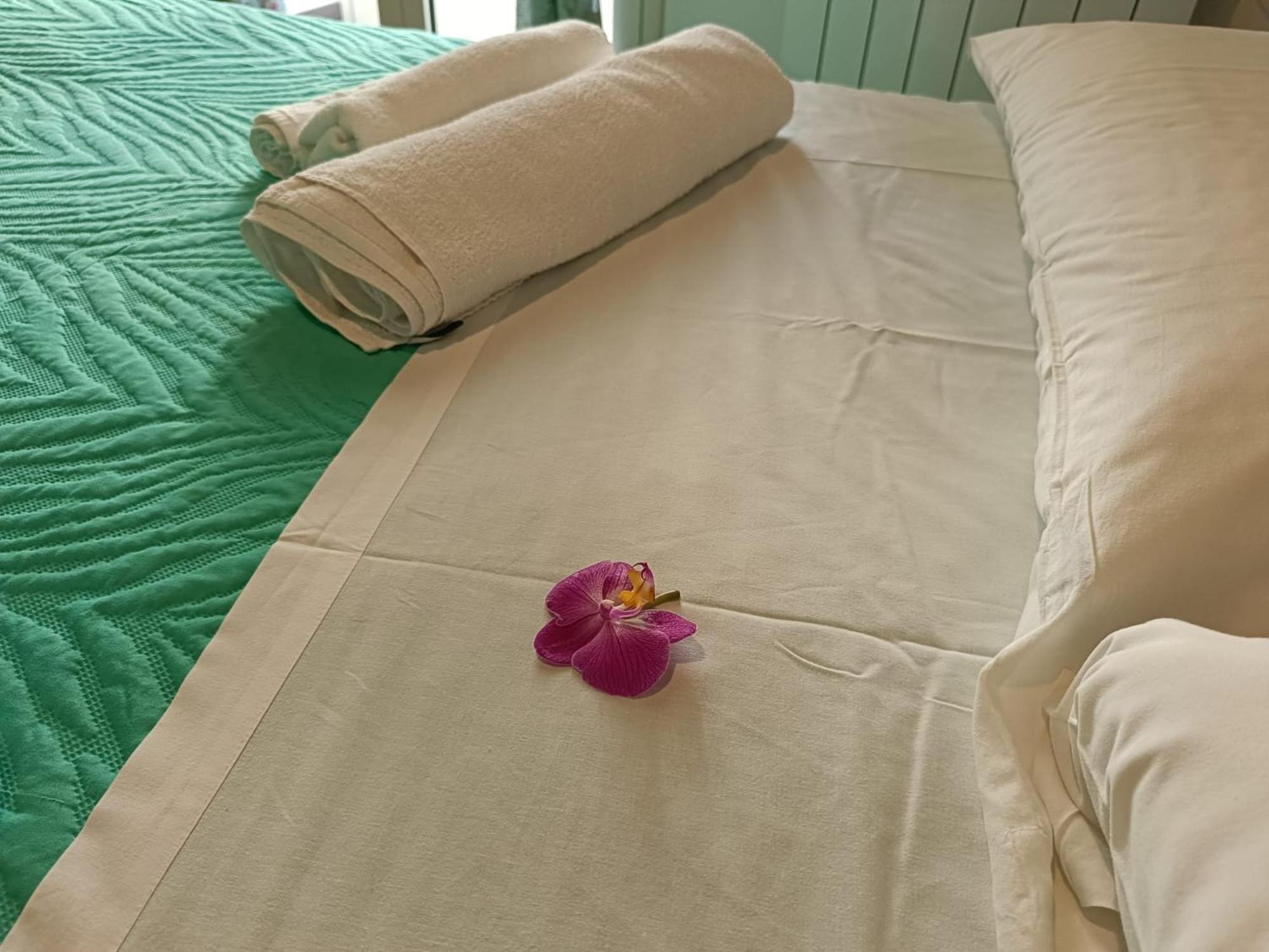 Apartment We # Are Ai Cassarelli *