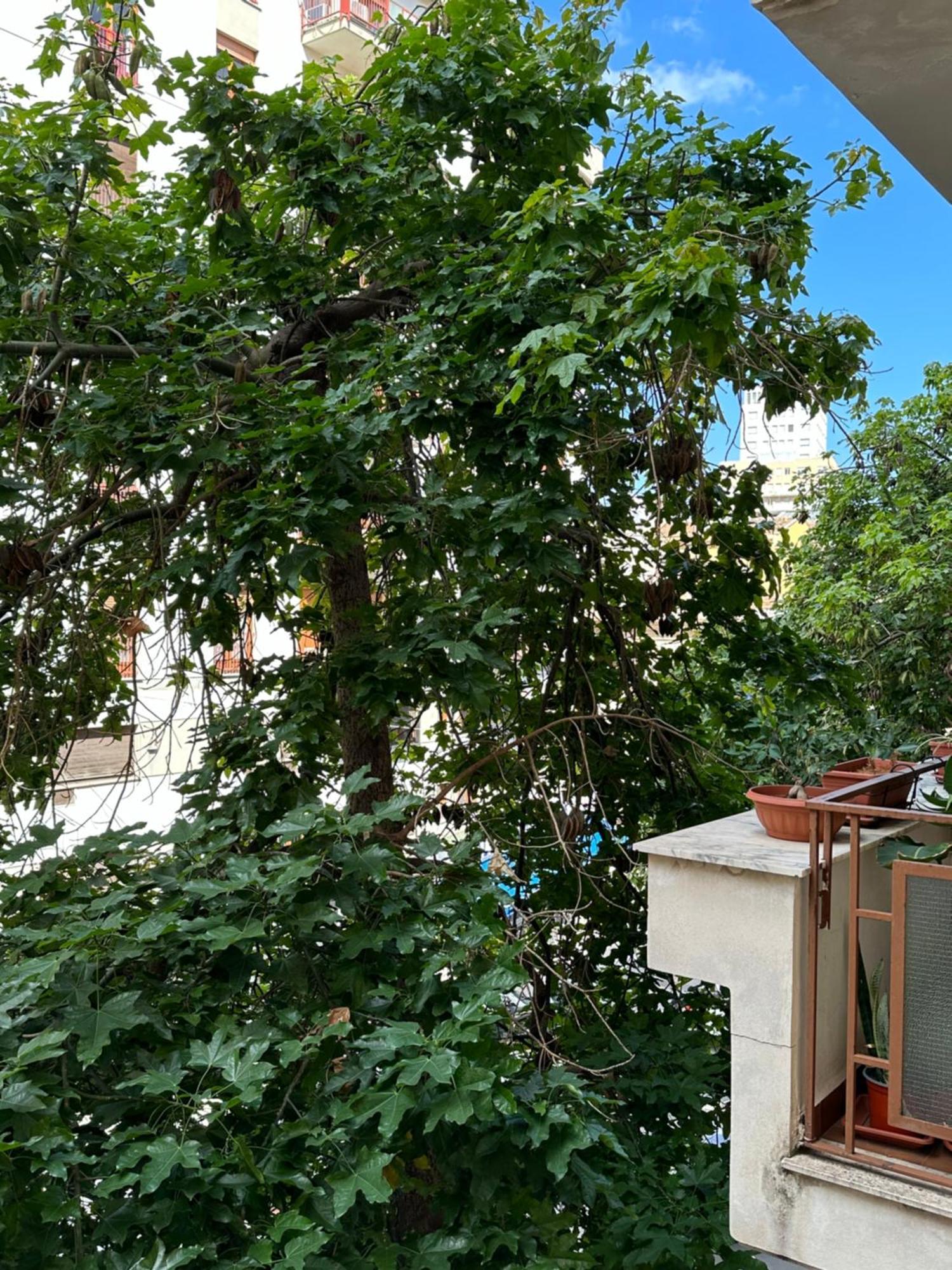 Apartment Di Fronte A *