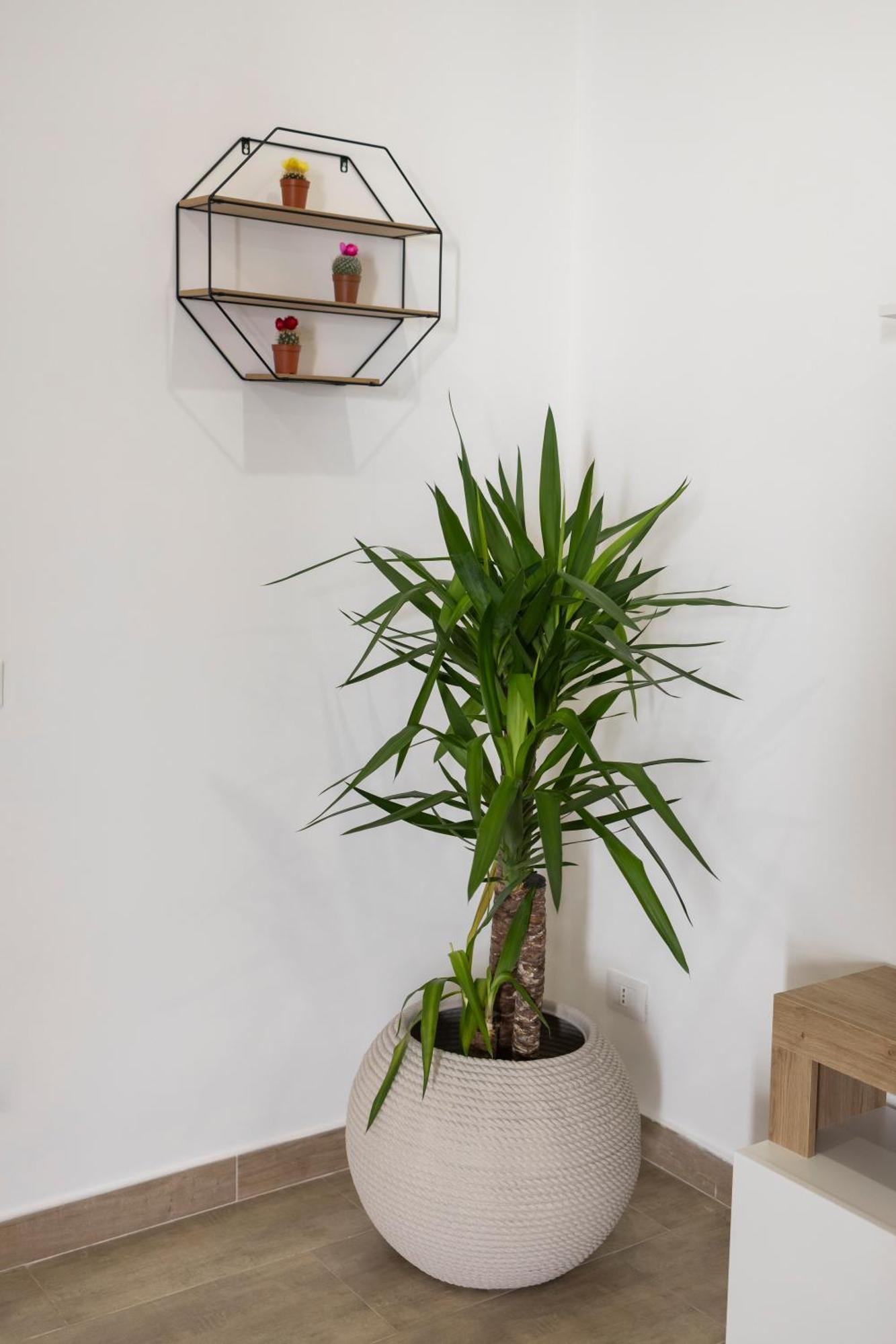 Maison Zisa - Proppro - * Palermo