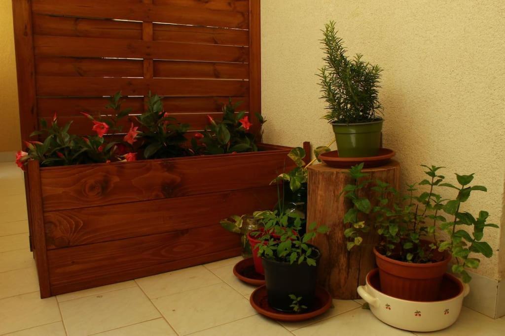 Casa Bruno Apartment *