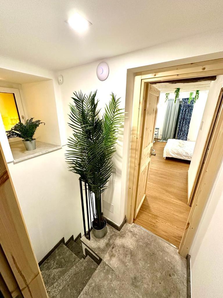 Cala Peppa Apartment