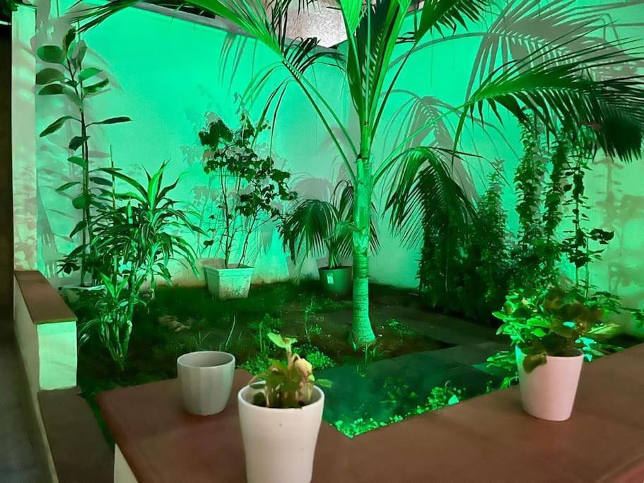 Casa Meravigghia Terrazzo ,giardino E Jacuzzi *