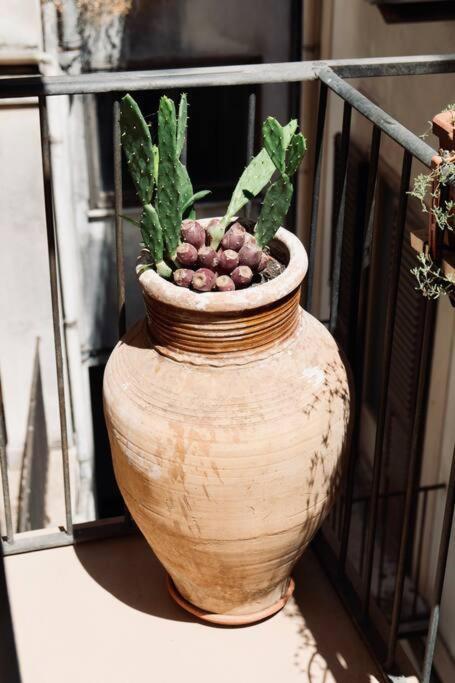 Exquiste With Outdoor Spaces *