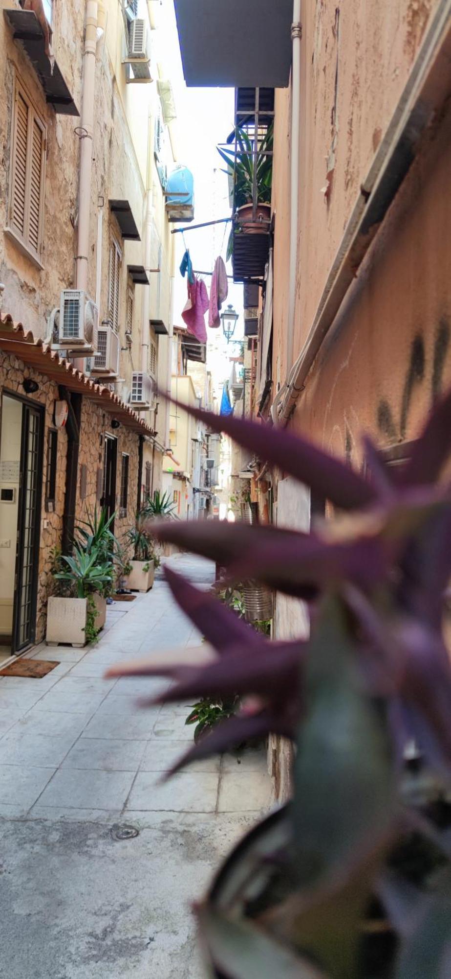 Mama5 * Palermo