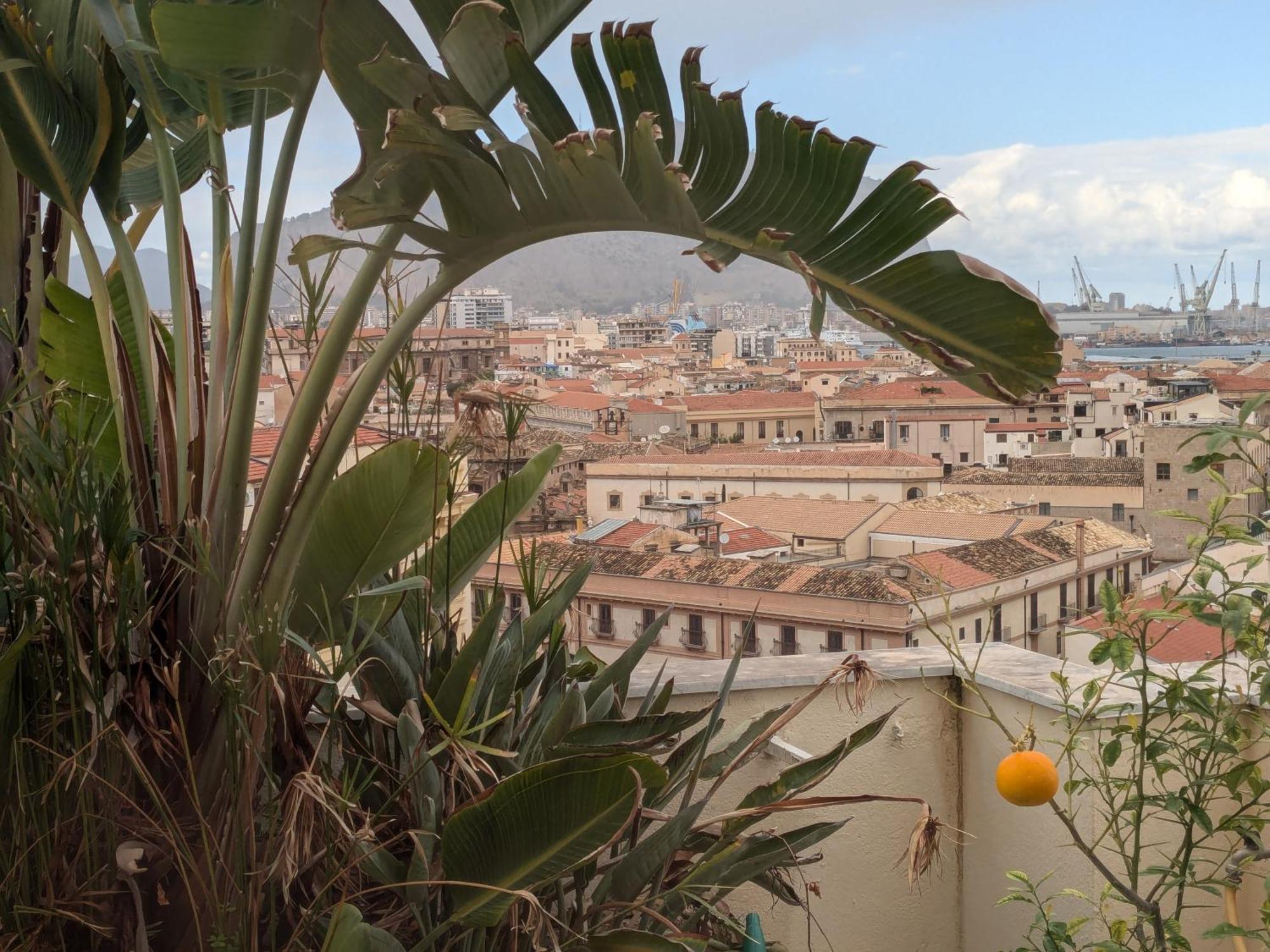 Divisi Palermo