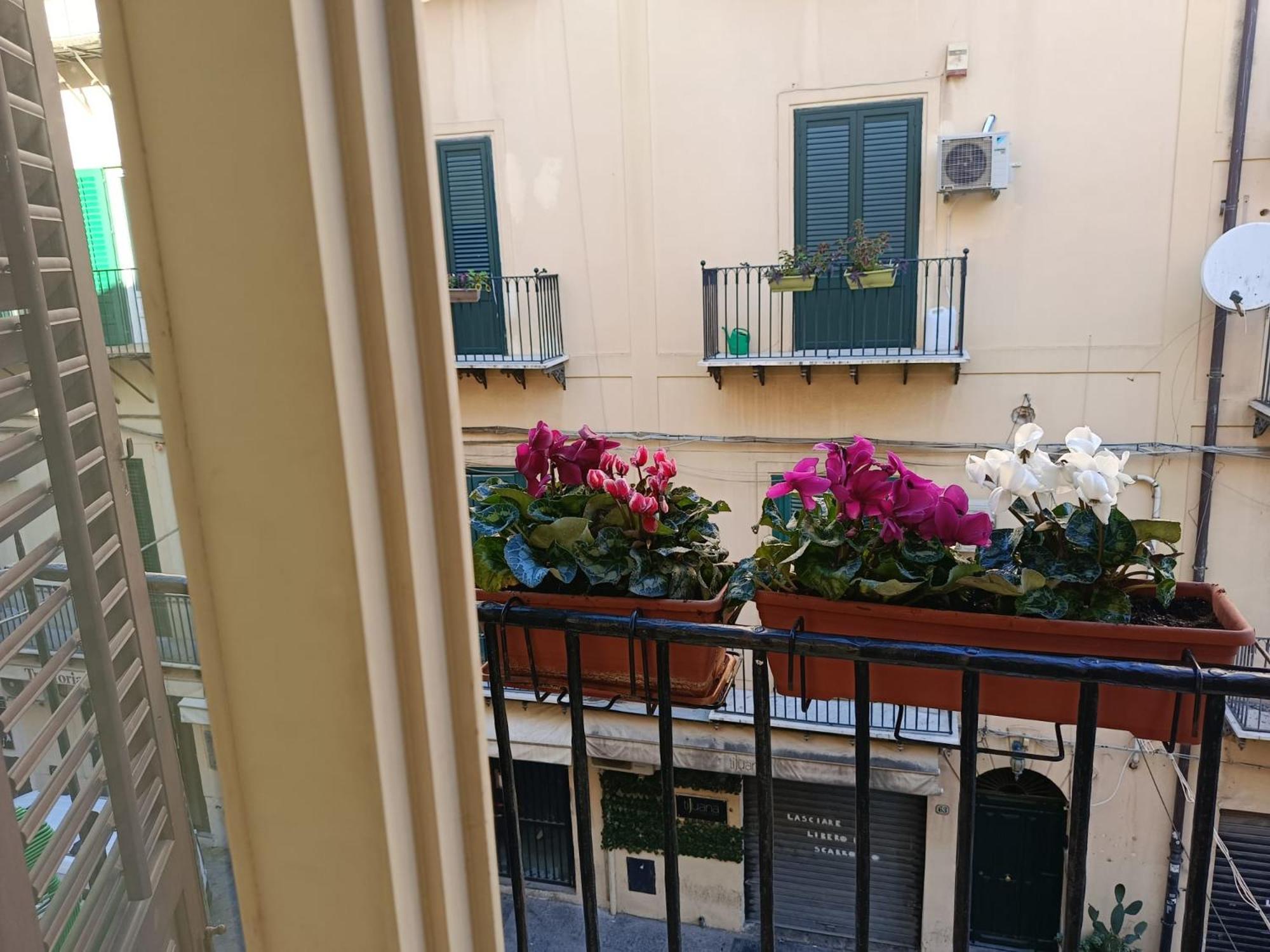 Apartment We # Are Ai Cassarelli *