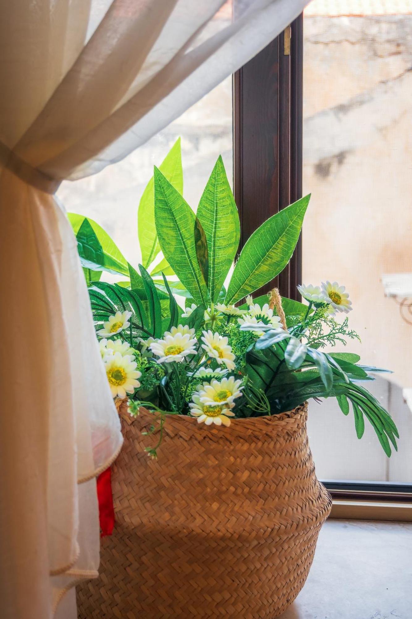 Casa Marina Apartment