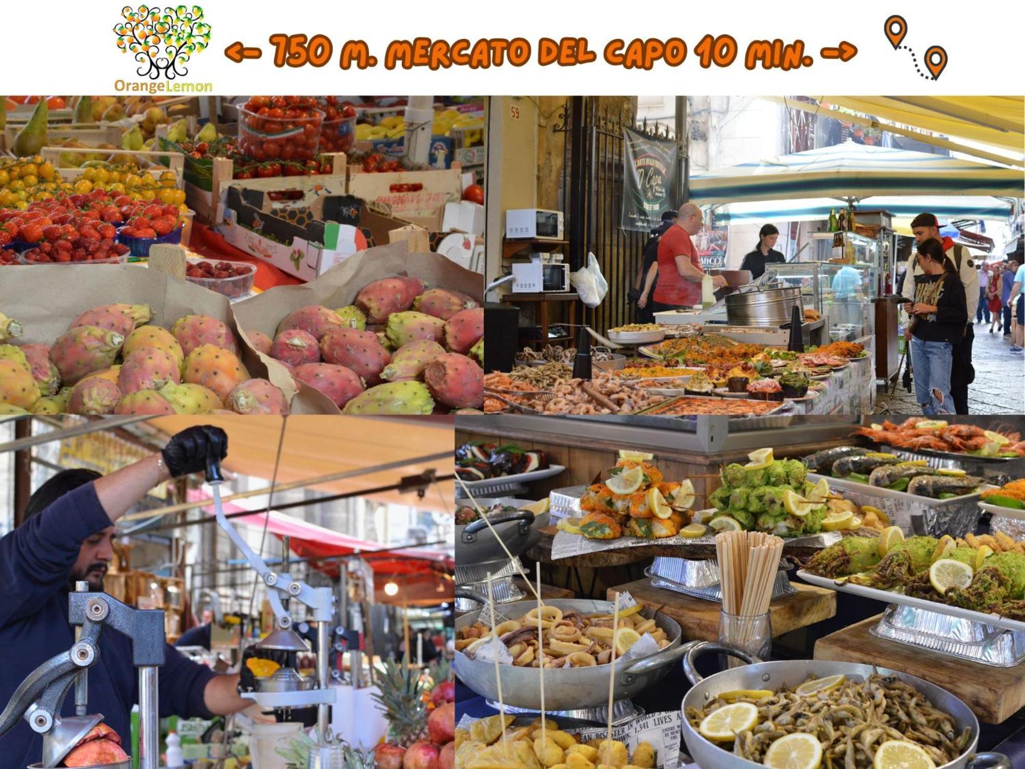 Orange Lemon Center Palermo