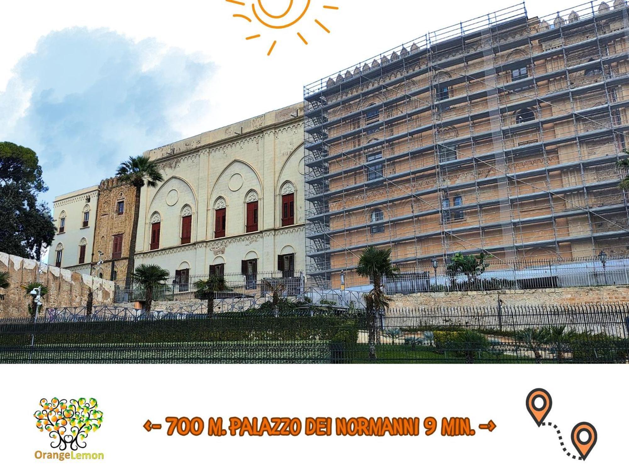 Orange Lemon Center * Palermo