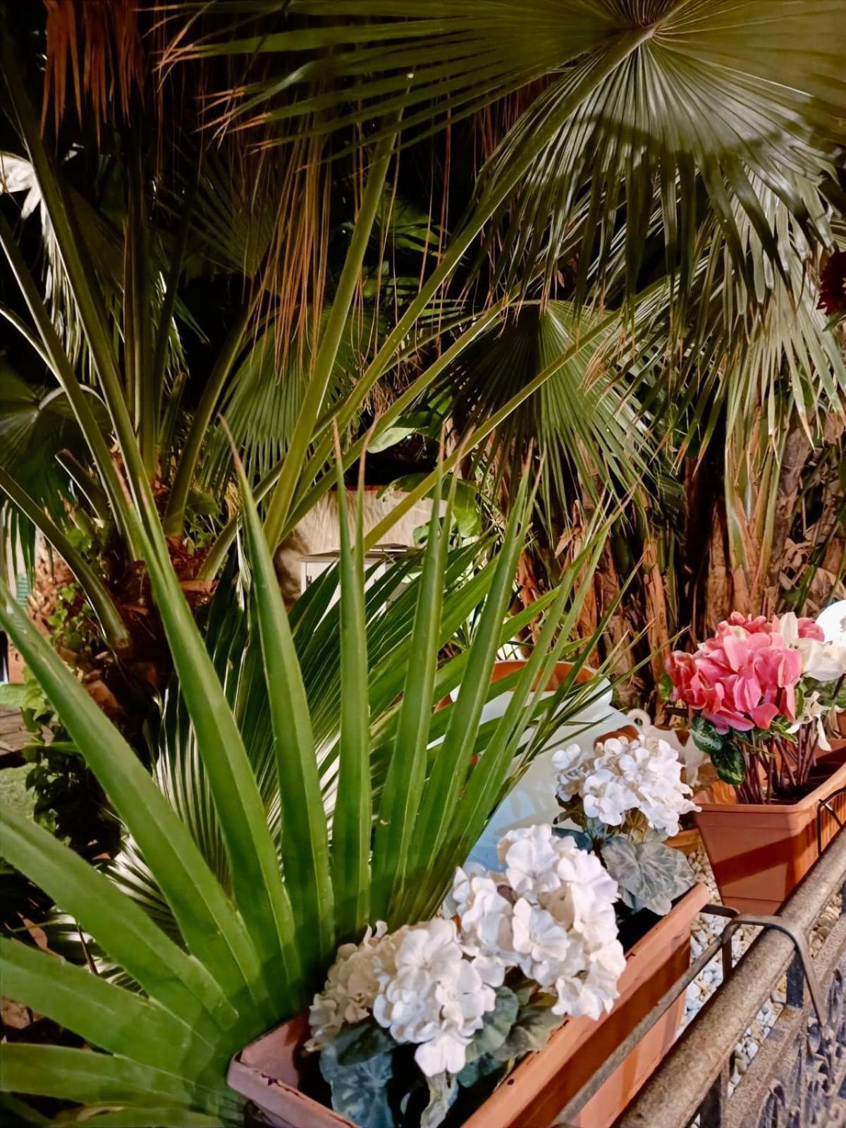 Antonella Mondello Bed & Breakfast