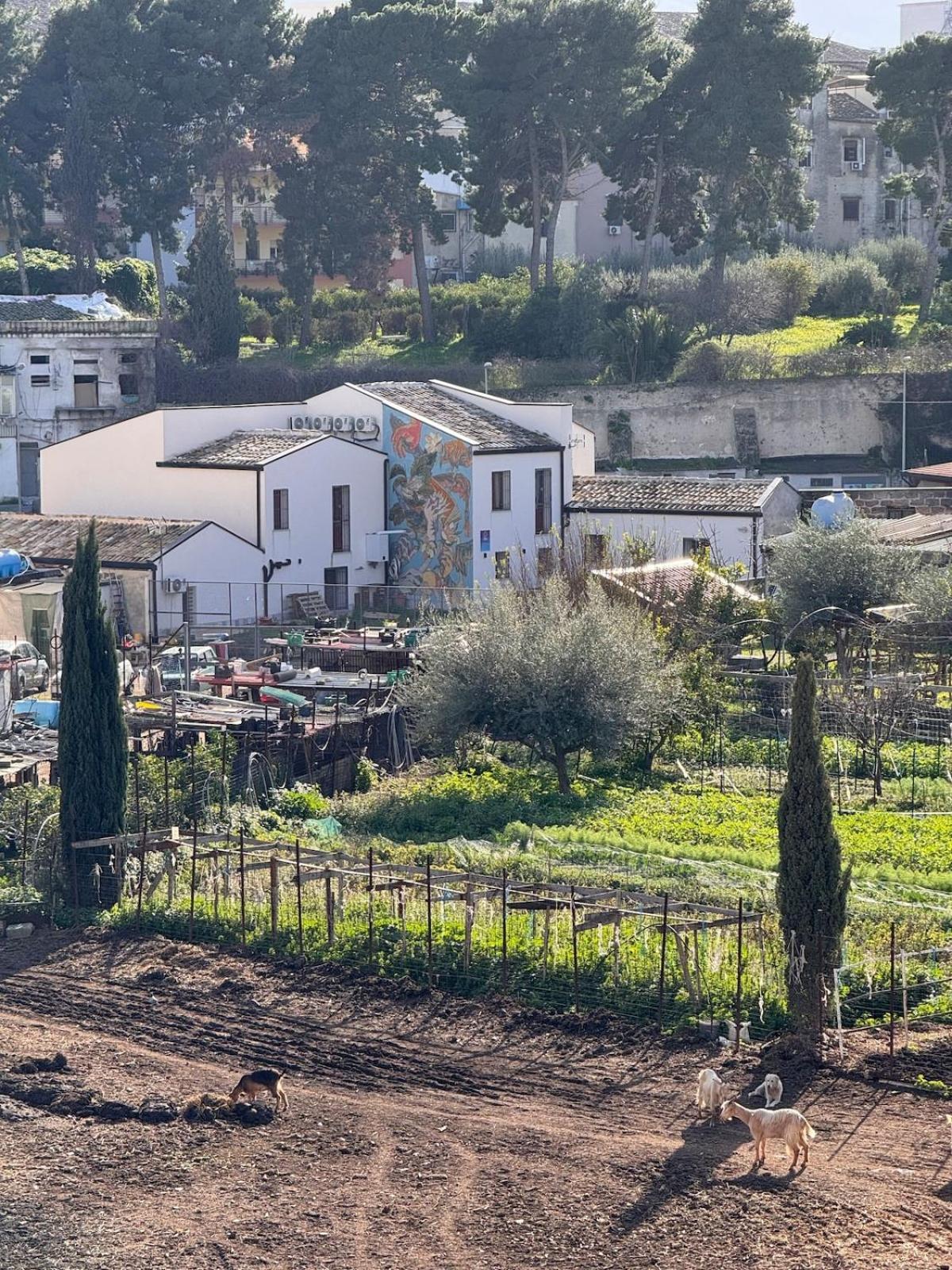 Suli D'amuri Palermo