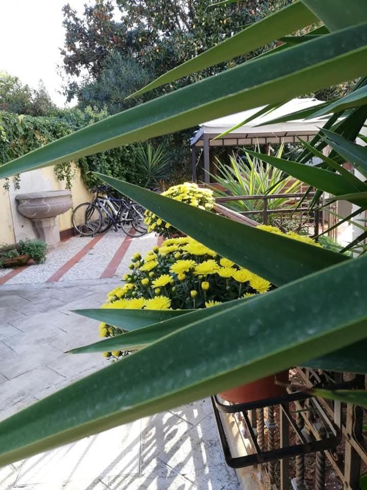 Antonella Mondello Bed & Breakfast Palermo