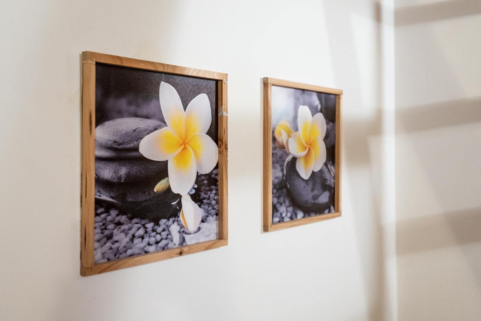 Plumeria - Vacanze In Centro A