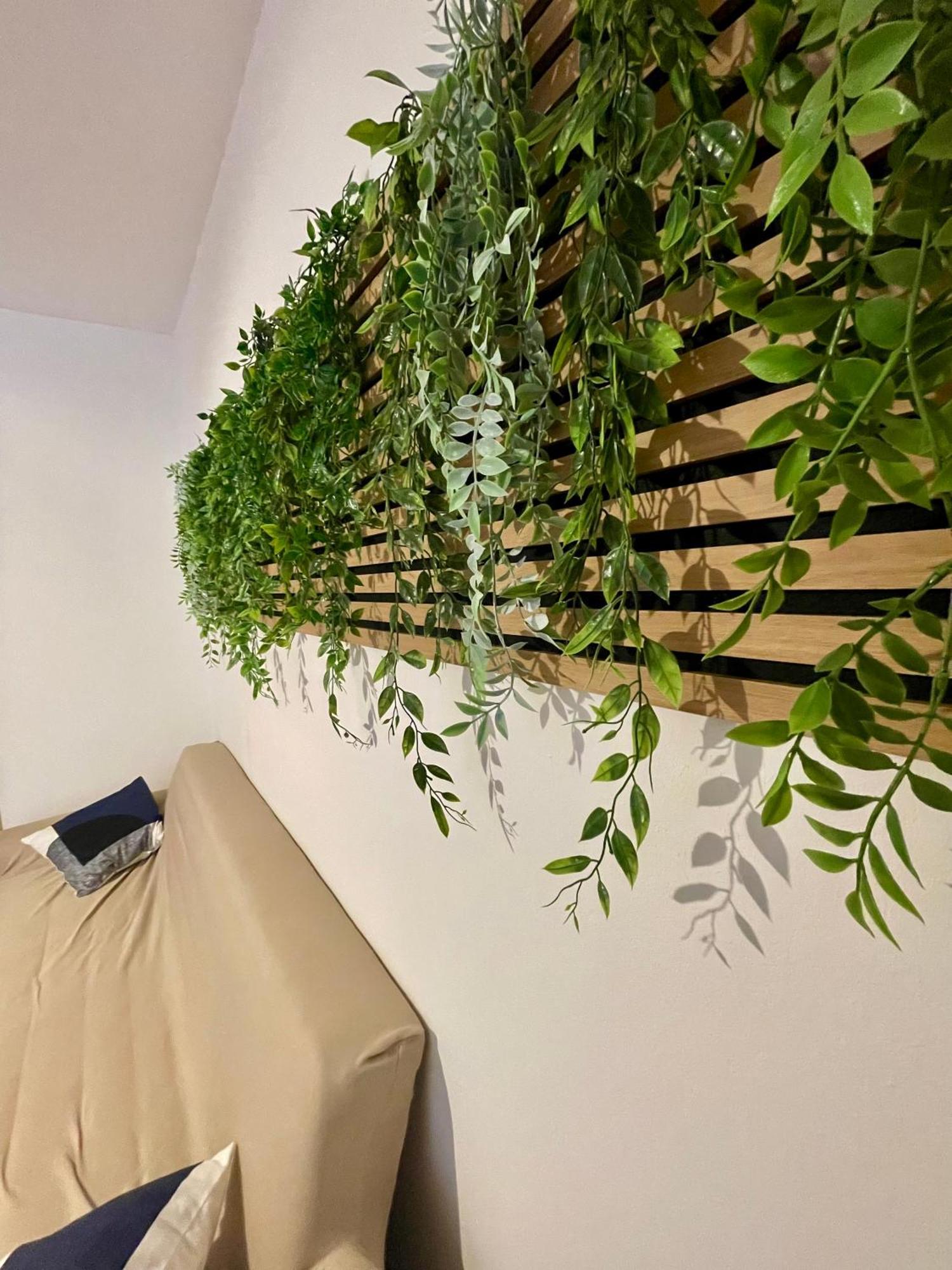 Apartment Vicolo 20