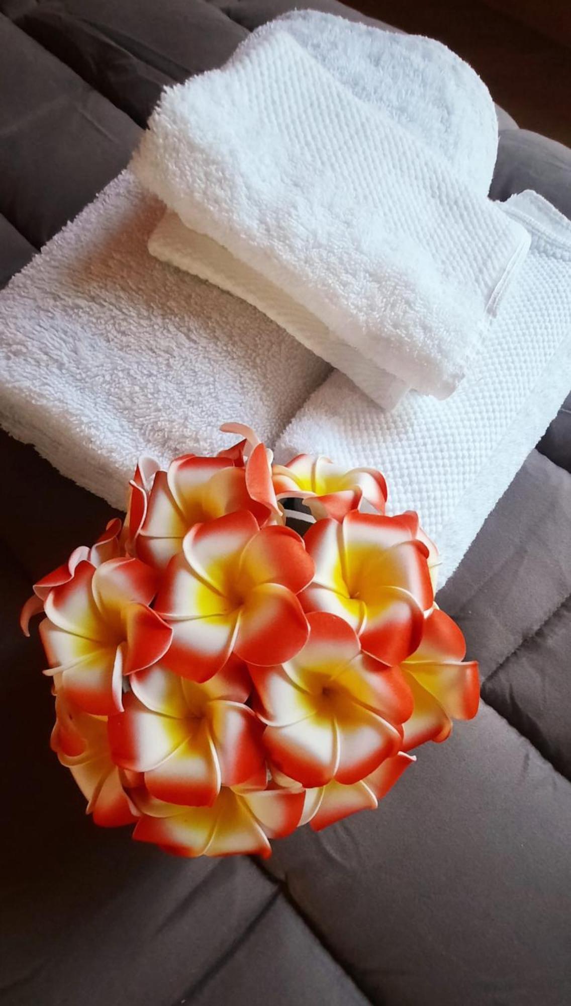 Plumeria - Vacanze In Centro A Apartamento