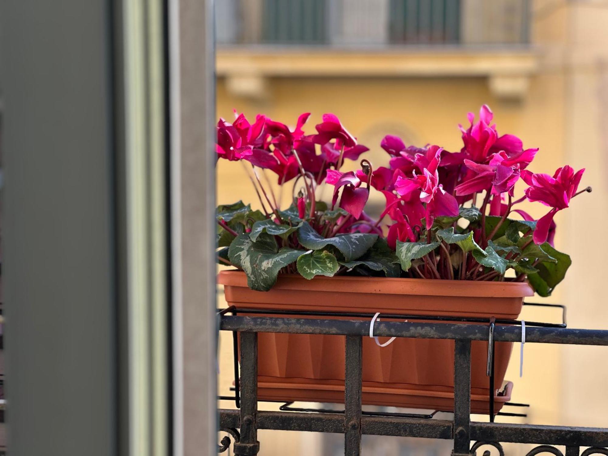 Apartment Da Cosimo U Pitturi