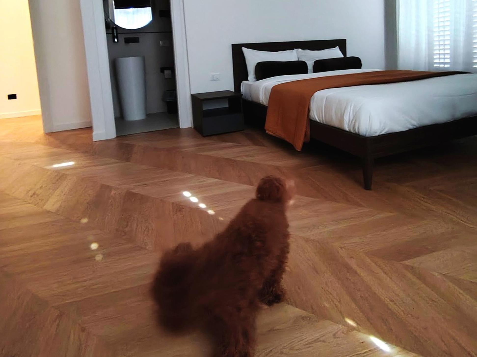 Casa O'tama Apartment
