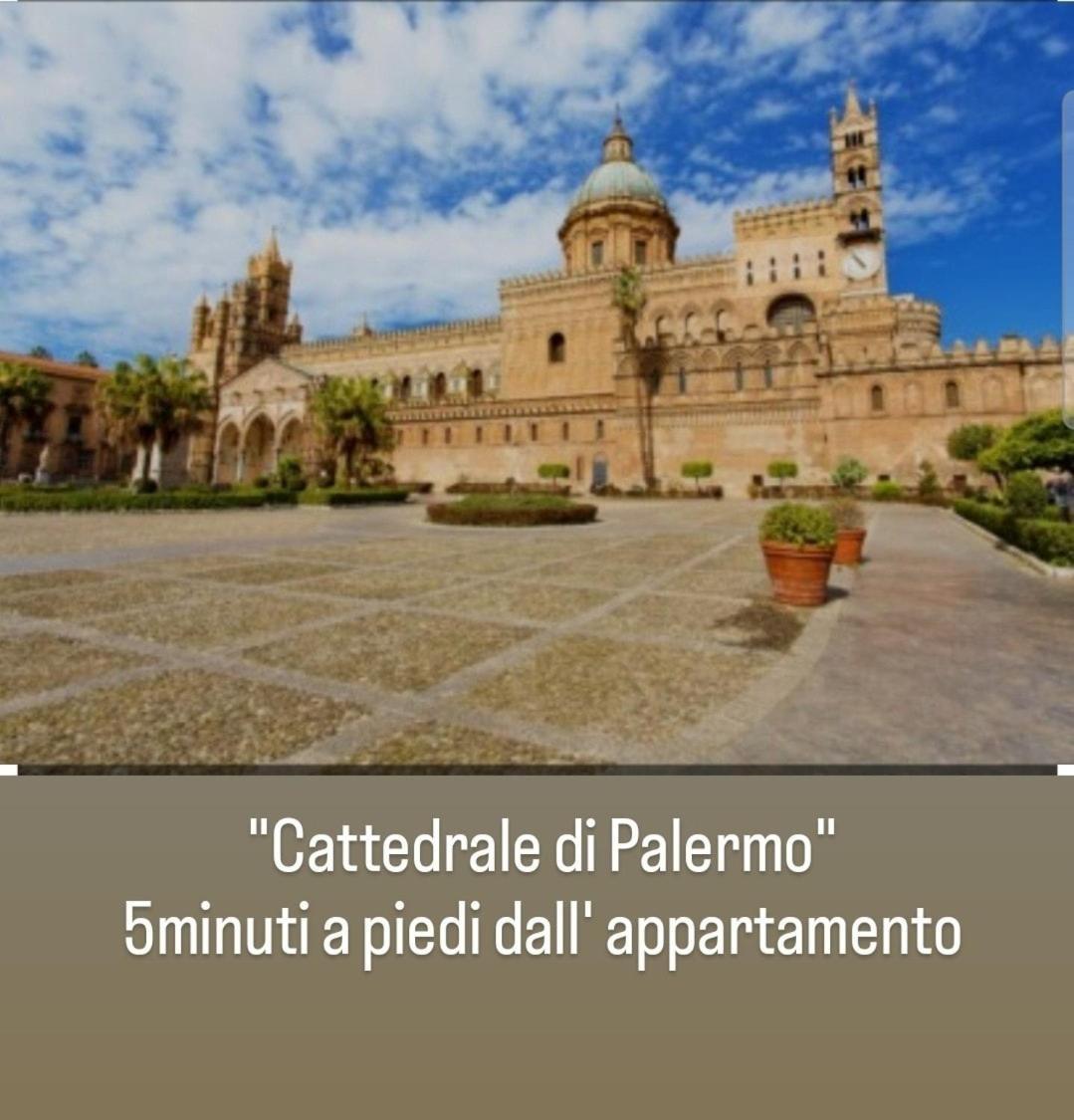 Apartment Nest Cathedral In The Heart Of The *