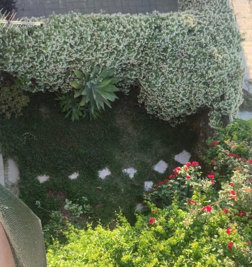 Il Giardino Dell'arcobaleno * Palermo