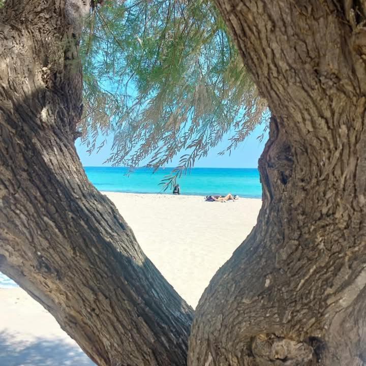 Mondello Juno's Palermo