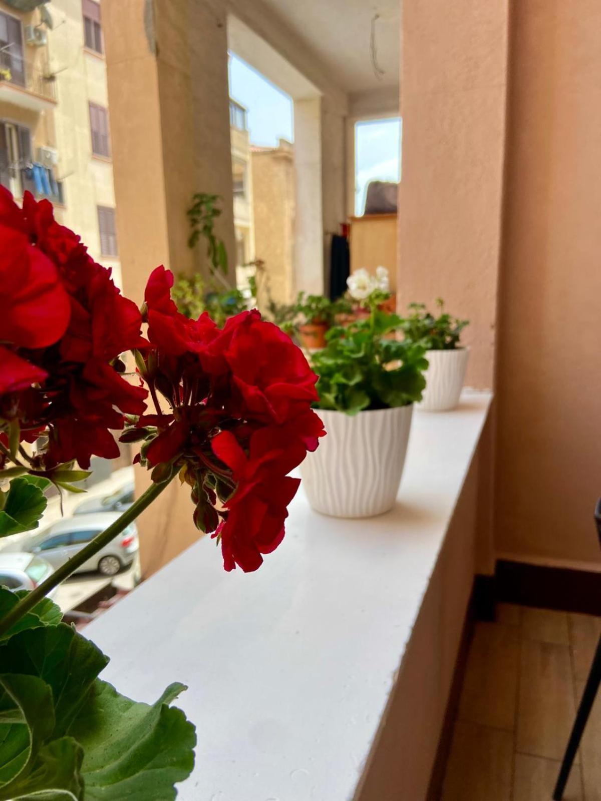 Sicilia Bedda Room's * Palermo