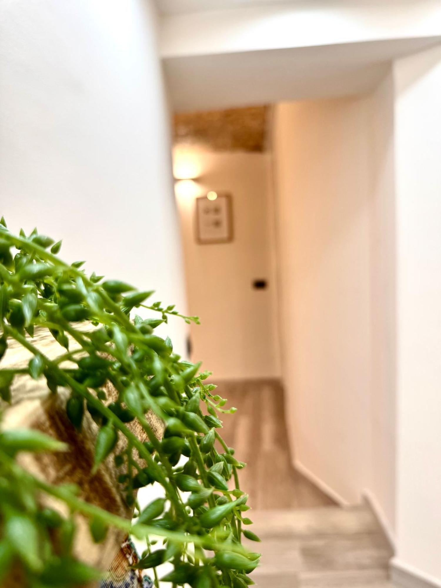 A Centro Vicino Stazione Mercato E Attrazioni Apartment Palermo